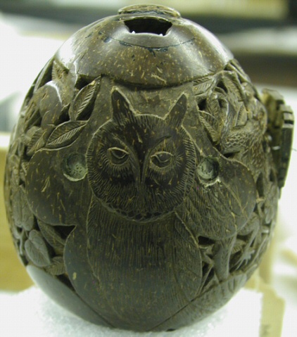 M8862-owl