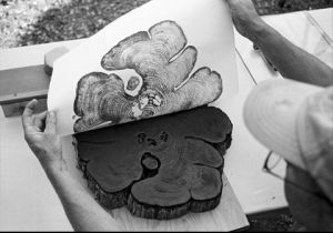 Using a tree cookie as a pattern: like woodblock, but less carving required! Click for source.