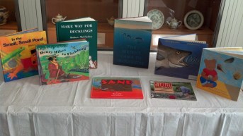 Fiction and nonfiction related to local MA history and natural history