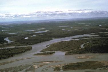 River tributaries, courtesy of the US Fish and Wildlife Service (public domain)