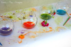 Flower watercolors from Learn Play Imagine