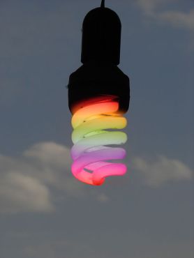 Photo by Nevit Dilmen.  Creative Commons license.