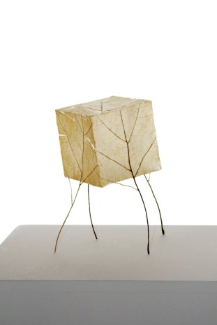 Leaf box by Steve Hollinger