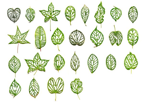 Leaf Type by Mei Linn Chan.  Click for source.
