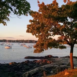 Salem Willows at Sunset, September 2014.  Photo by Meg Winikates