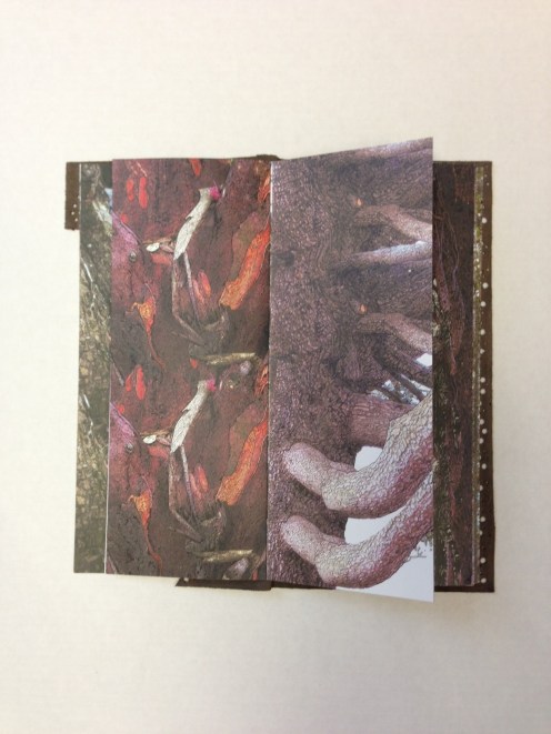 Book of bark drawings by Sallie Lowenstein, featured artist in Branching Out, Trees as Art