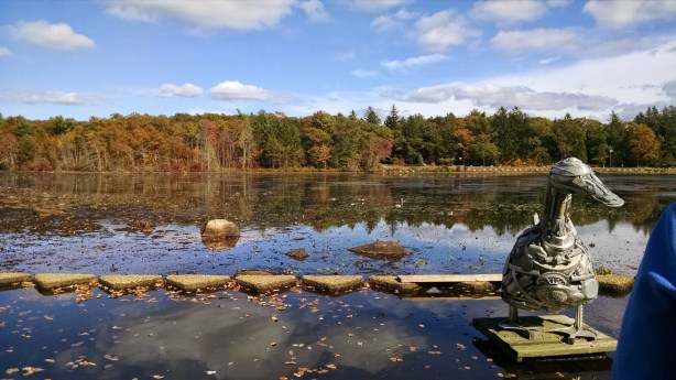 IMG_20141019_132125886