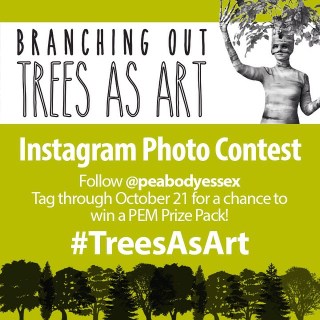 instagram trees challenge