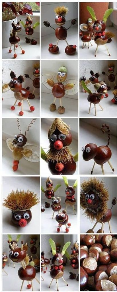 Creating seed and nut sculptures (click for source, warning, it's in Dutch!)