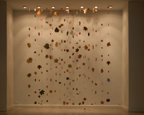 IMG_0185_Backes_Bangkok,Thailand Hanging.Leaves300dpi-3