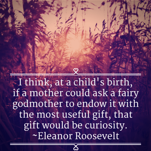 Graphic made by Meg Winikates on Canva.com