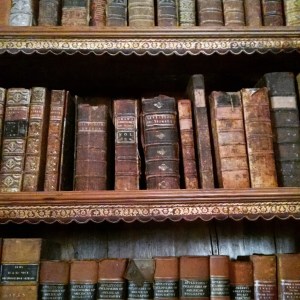 From the library at the Crane Estate, Ipswich. Photo by Meg Winikates, 2015.