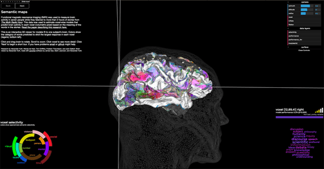 brainmap-site