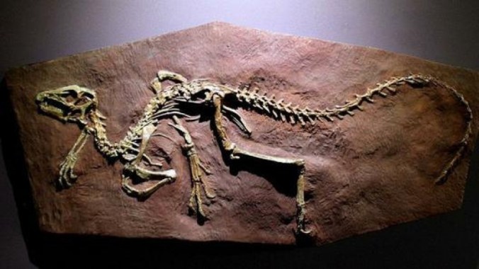 heterodontosaurus